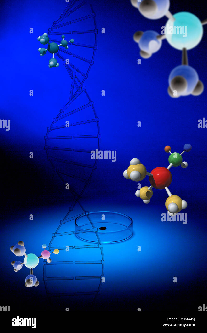 Las estructuras moleculares y la estructura del ADN Fotografía de stock