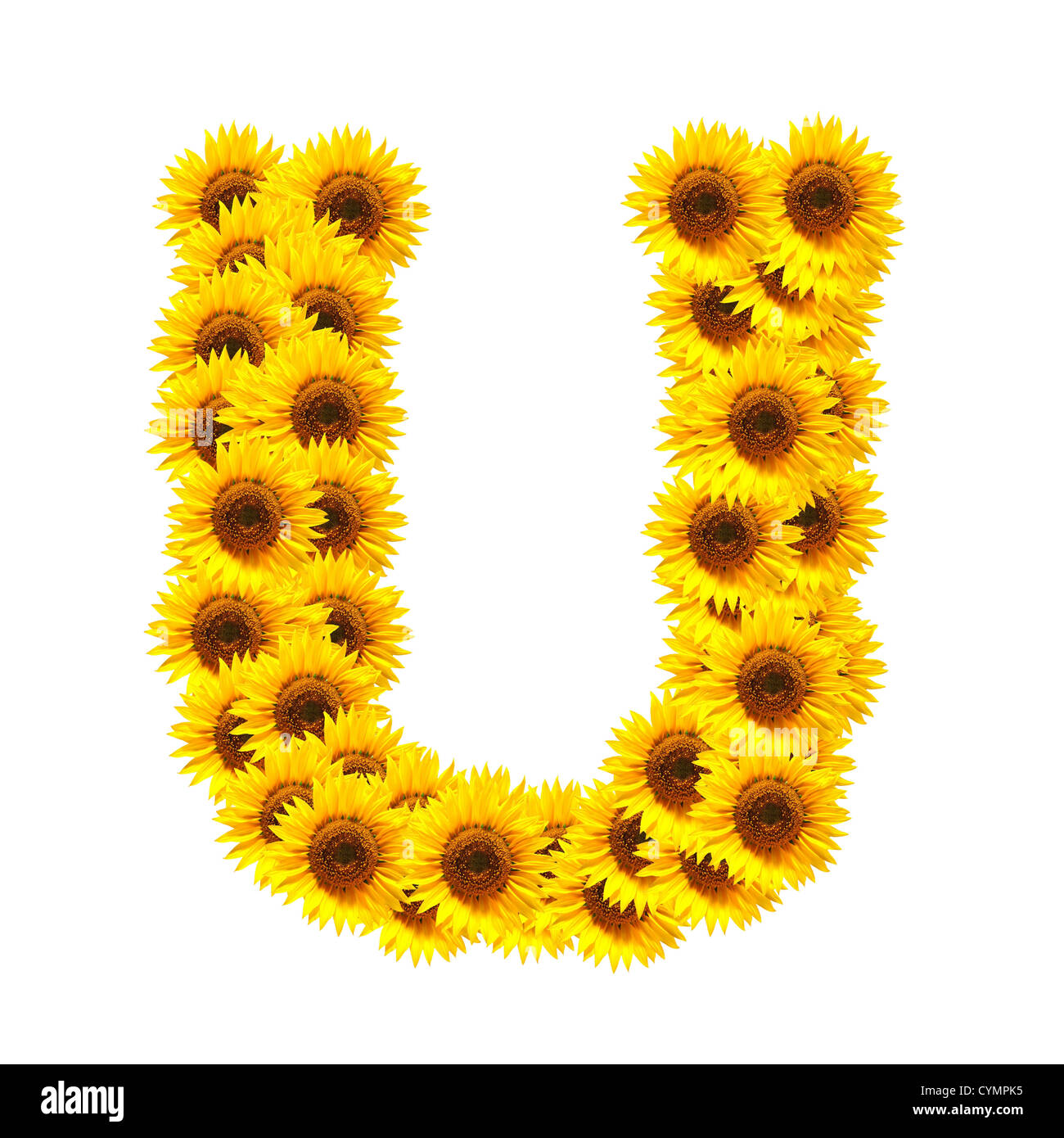 Total Imagen Abecedario De Girasoles Viaterra Mx