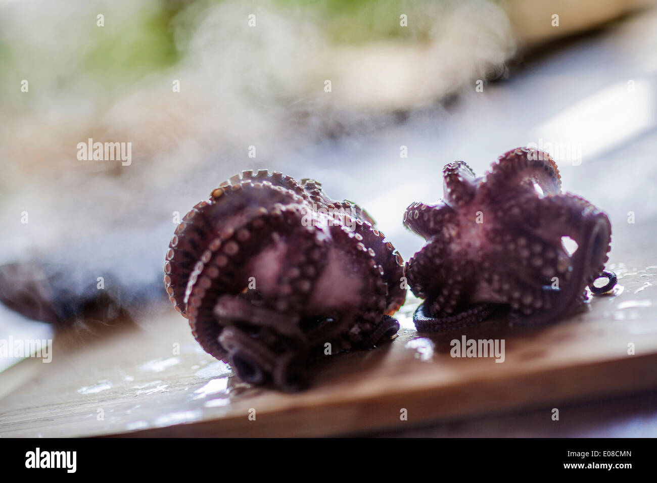 Pulpo en tablero de madera fotografías e imágenes de alta resolución