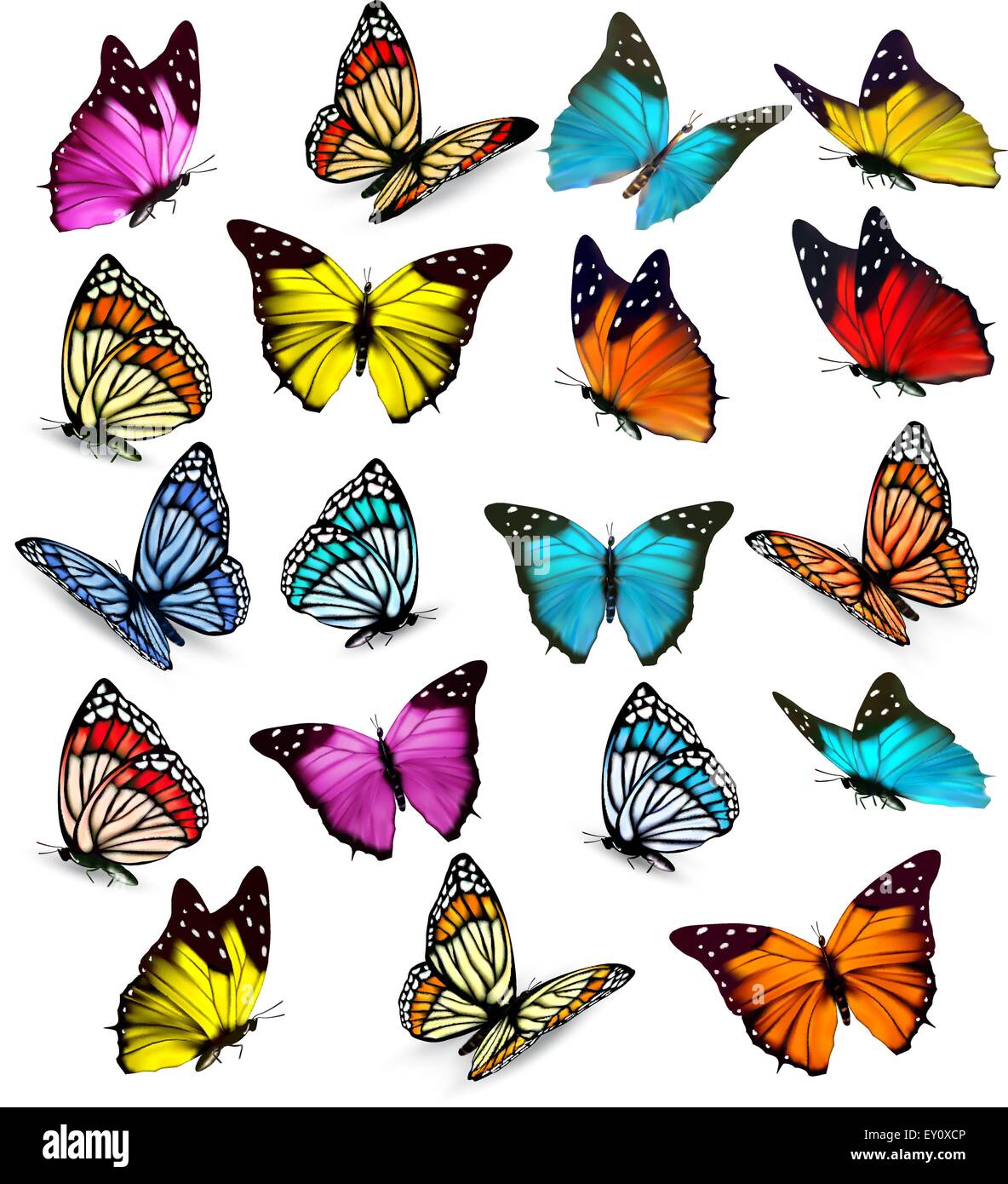 Gran Colecci N De Mariposas Coloridas Vector Imagen Vector De Stock