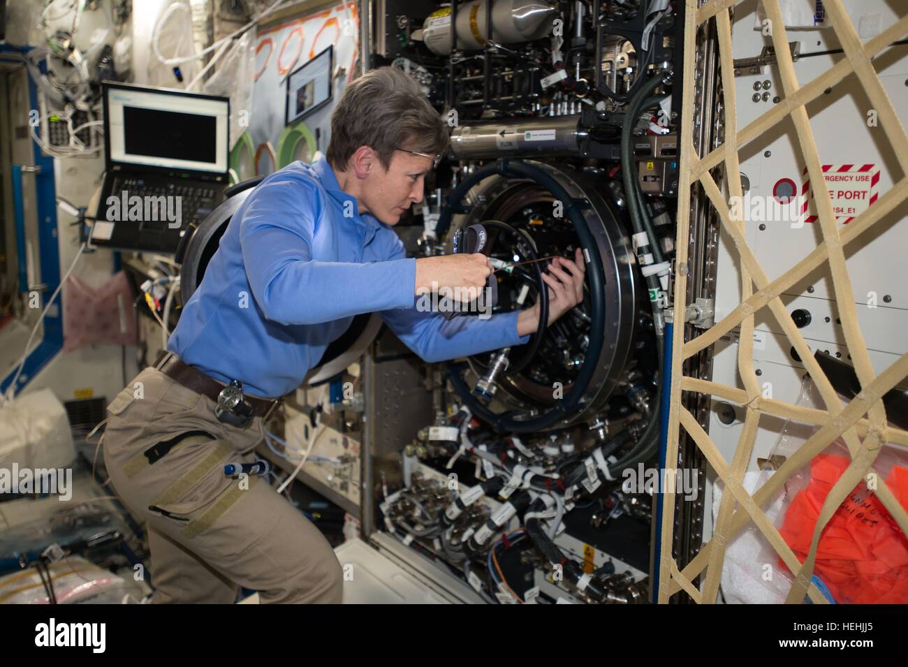 Expedición de la NASA 50 el primer miembro de la tripulación la