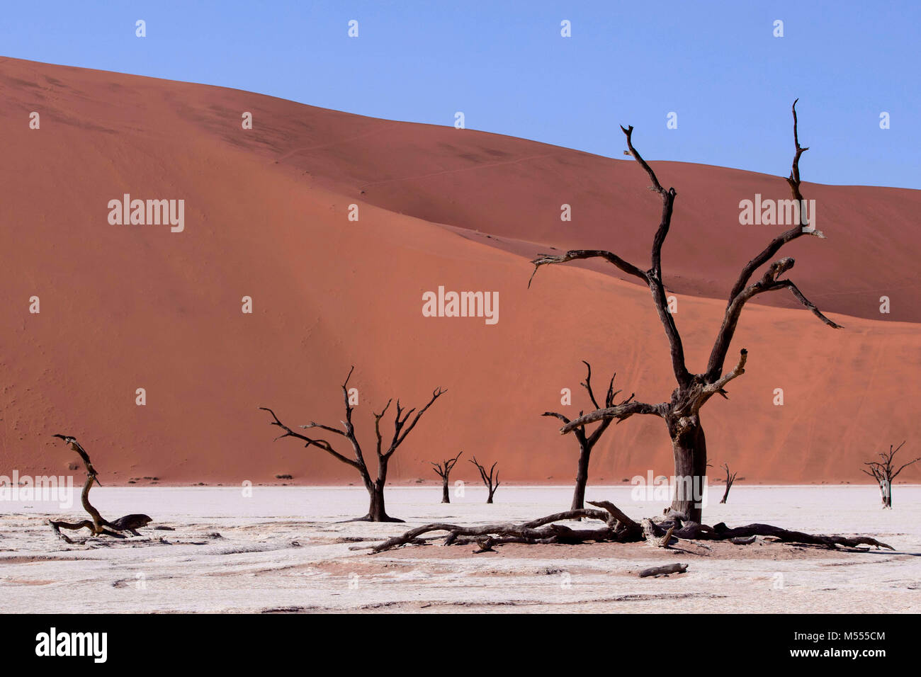 Las Dunas De Arena En El Parque Namib Naukluft El Desierto De Namib