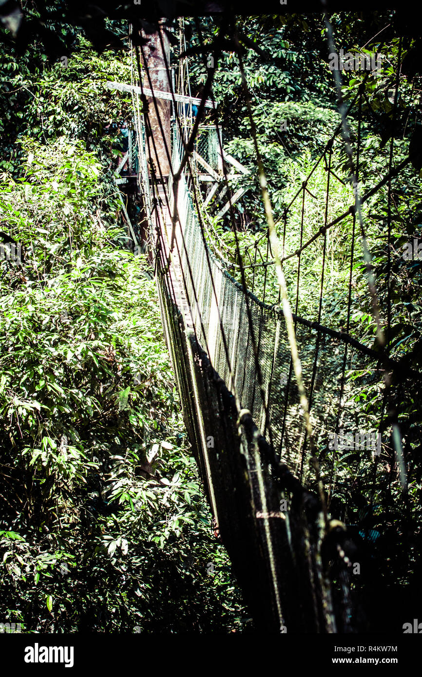 Puente De Cuerda Para Cruzar El R O De La Monta A Fotograf As E