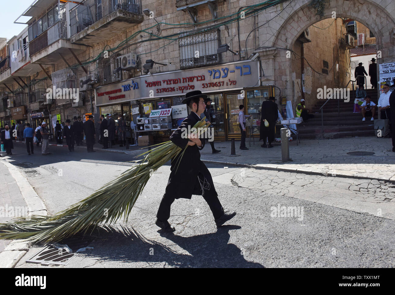 Un judío Ultra Orthodox lleva frondas de palma para una sucá chozas