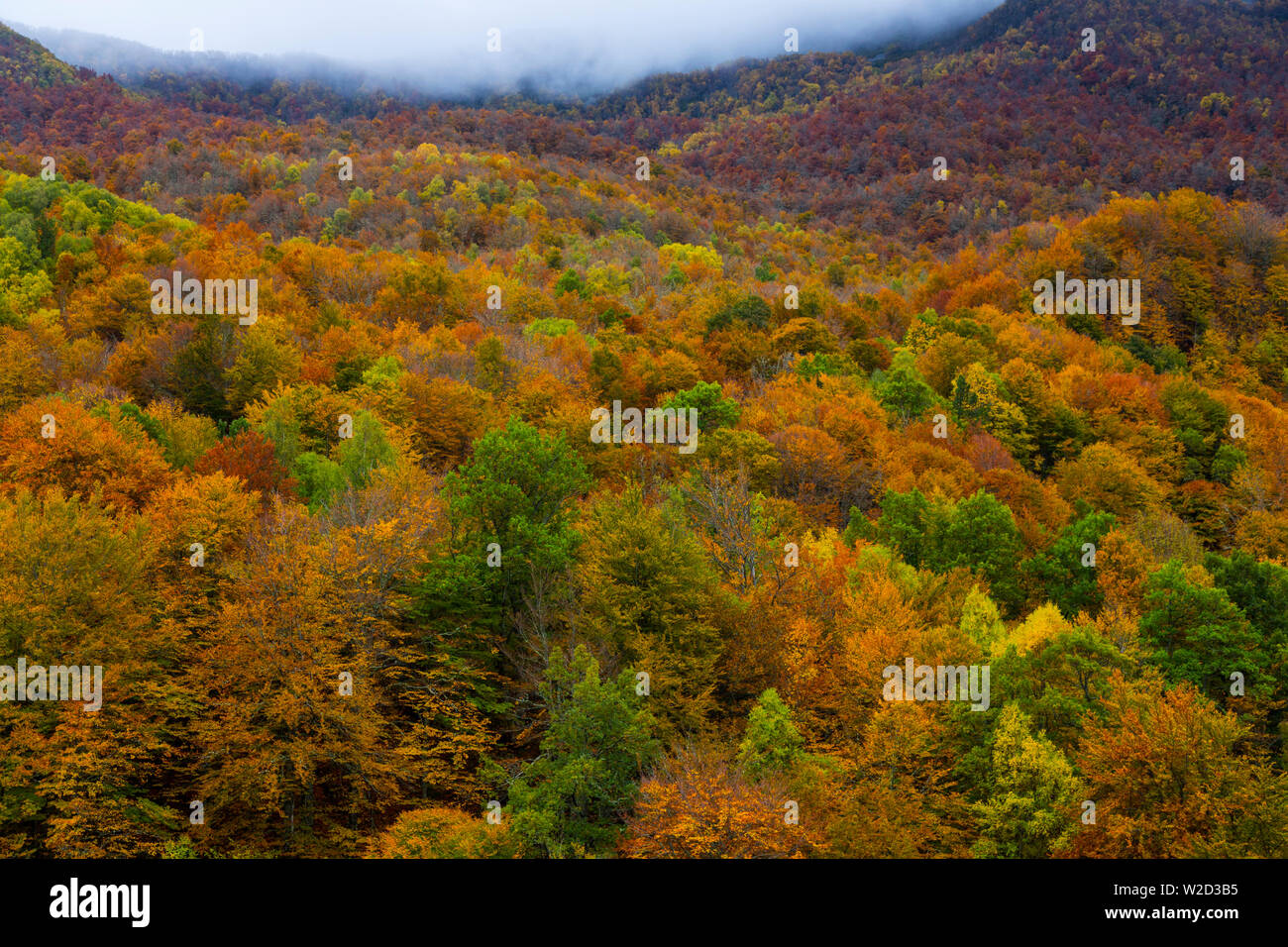 Bosque Atlántico Monasterio de Hermo Las Fuentes del Narcea Degaña e