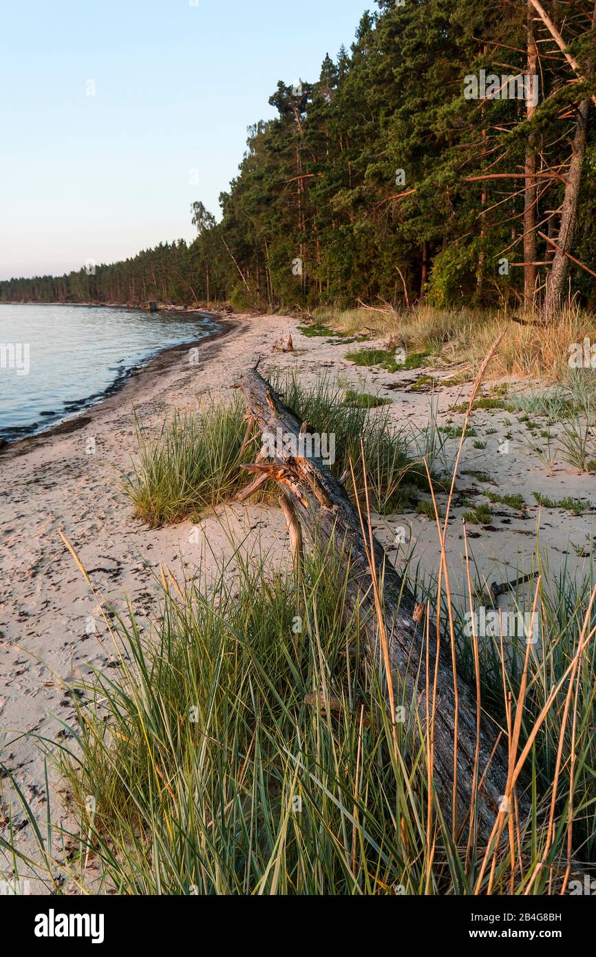 Naturstrand Banque de photographies et dimages à haute résolution Alamy