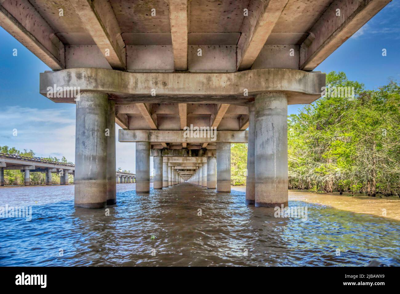 Atchafalaya basin swamp Banque de photographies et dimages à haute