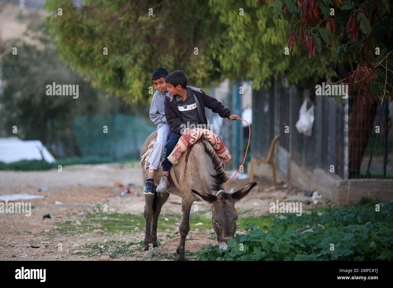 Jérusalem Israël 23rd janvier 2023 Enfants vus sur un âne dans le