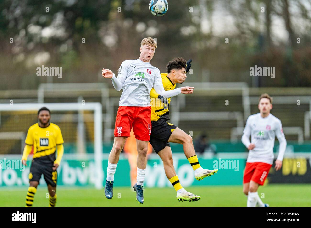 Borussia Dortmund Ii Vs Hallescher Fc Banque De Photographies Et D