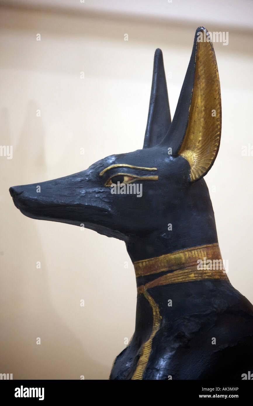 Détail de l Egyptien Anubis statue sculpture Le Musée égyptien du Caire