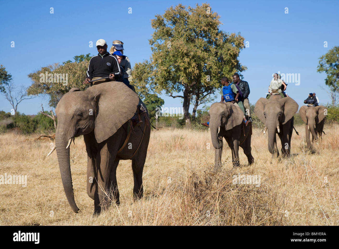 Victoria Falls Zimbabwe Afrique Safari Banque De Photographies Et D