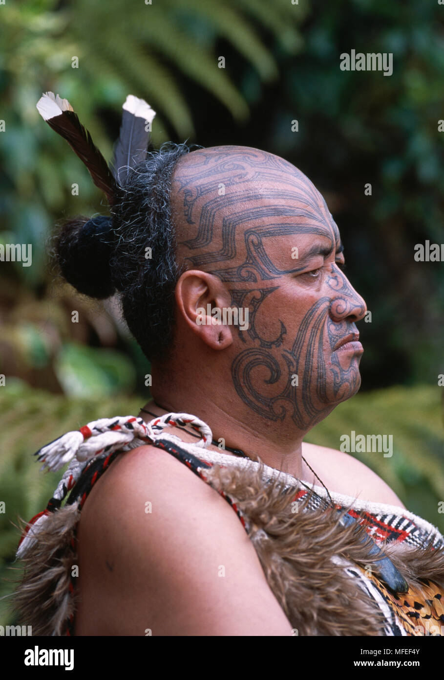 Avec Les Maoris Du Visage Traditionnel Tatouage Moko Et De Costumes