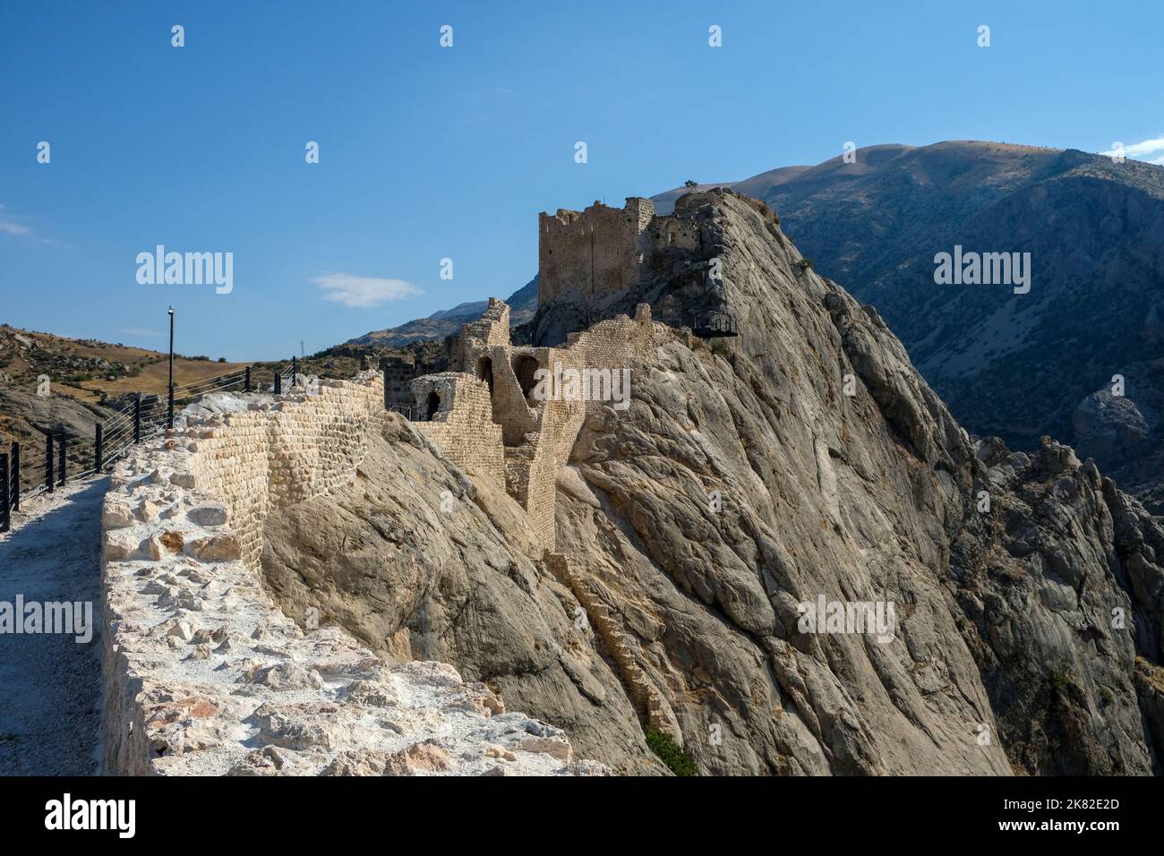 Gene Del Regno Della Virgola Immagini E Fotografie Stock Ad Alta