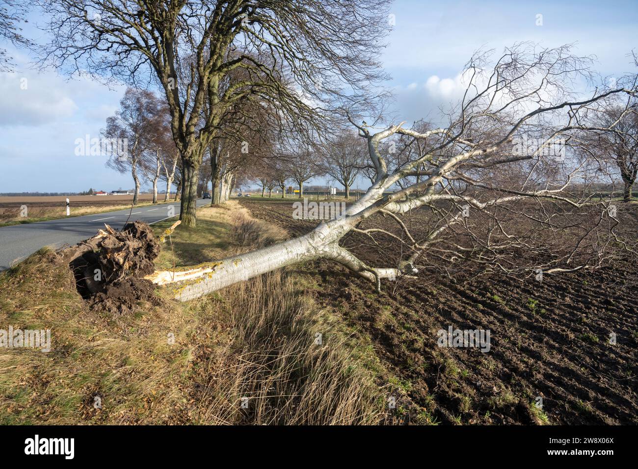 Dicembre Meclemburgo Pomerania Occidentale Altef Hr Un