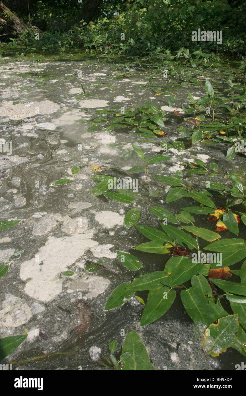 Inquinamento Idrico Immagini E Fotografie Stock Ad Alta Risoluzione Alamy