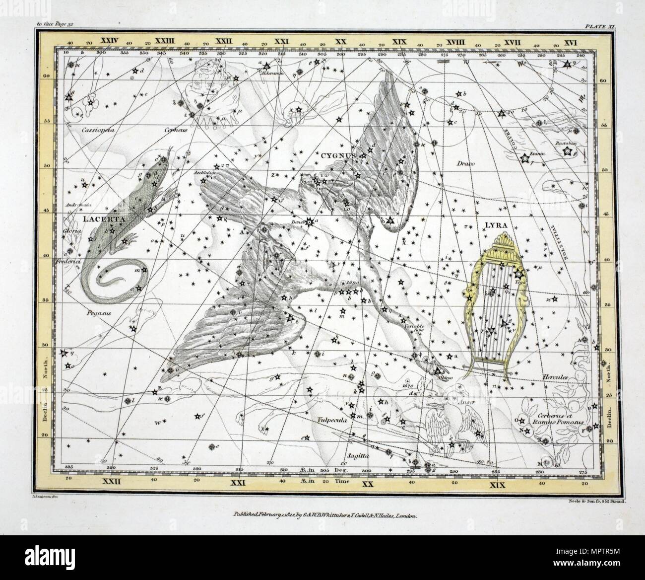 Mappa Della Costellazione Del Cigno Immagini E Fotografie Stock Ad Alta