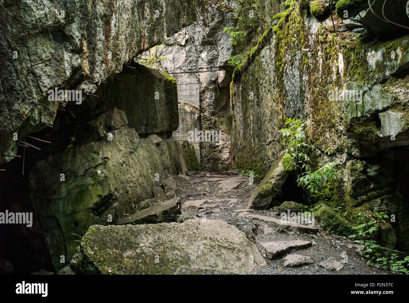 Polonia Masurian Ketrzin Rastenburg Frazione Di Forst Gorlitz Lupo