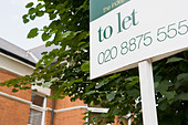 to-let-sign-A55C6M.jpg