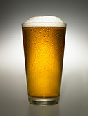 close-up-of-glass-of-beer-C7JRFE.jpg