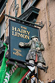 the-hairy-lemon-pub-sign-dublin-ireland-
