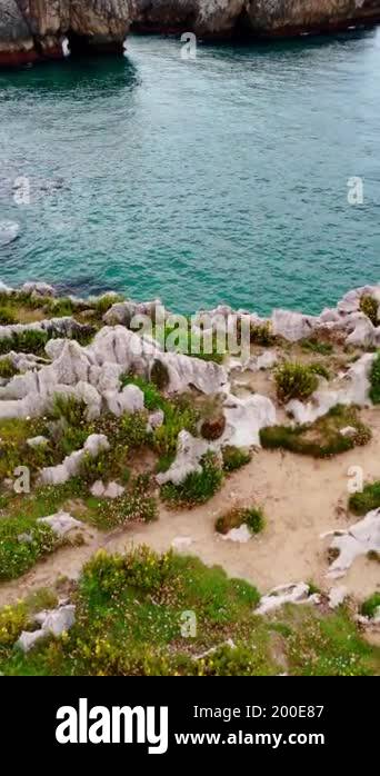 Grass and flowers grow among the spiky rocks at the mountainous shore ...