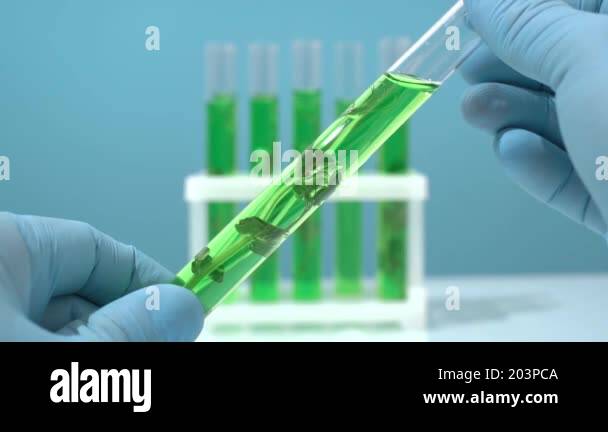 Biotechnology lab. Plant sprout in a test tube. Scientific laboratory ...