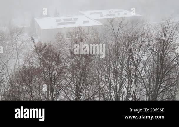 A Strong Blizzard, Snowstorm Sweeps Up Trees And Buildings In City 