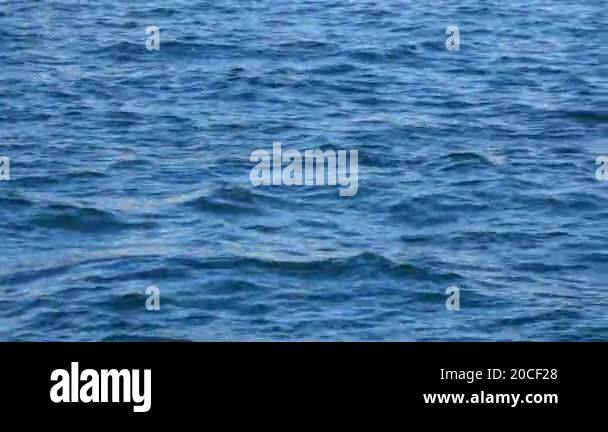 movement of dynamic waves captured in closeup, revealing the oceans ...