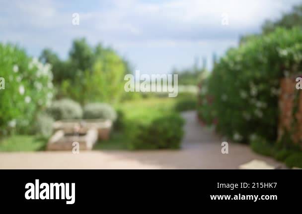 Blurred outdoor scene in a mallorca garden with bokeh effect and lush ...
