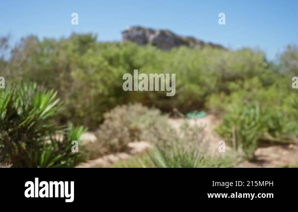 Blurred outdoor scene in mallorca with defocused background, featuring ...