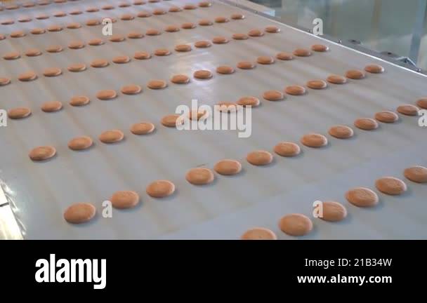 Industrial Food Factory Or Bakery, Cookies On Automated Production Line 