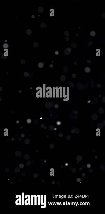 It is snowing on black background. Vertical video of Real snow falling ...