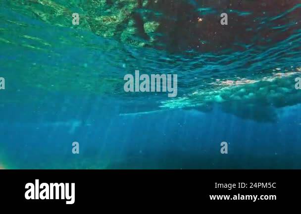Underwater view of ocean wave breaking in the Maldives Stock Video ...