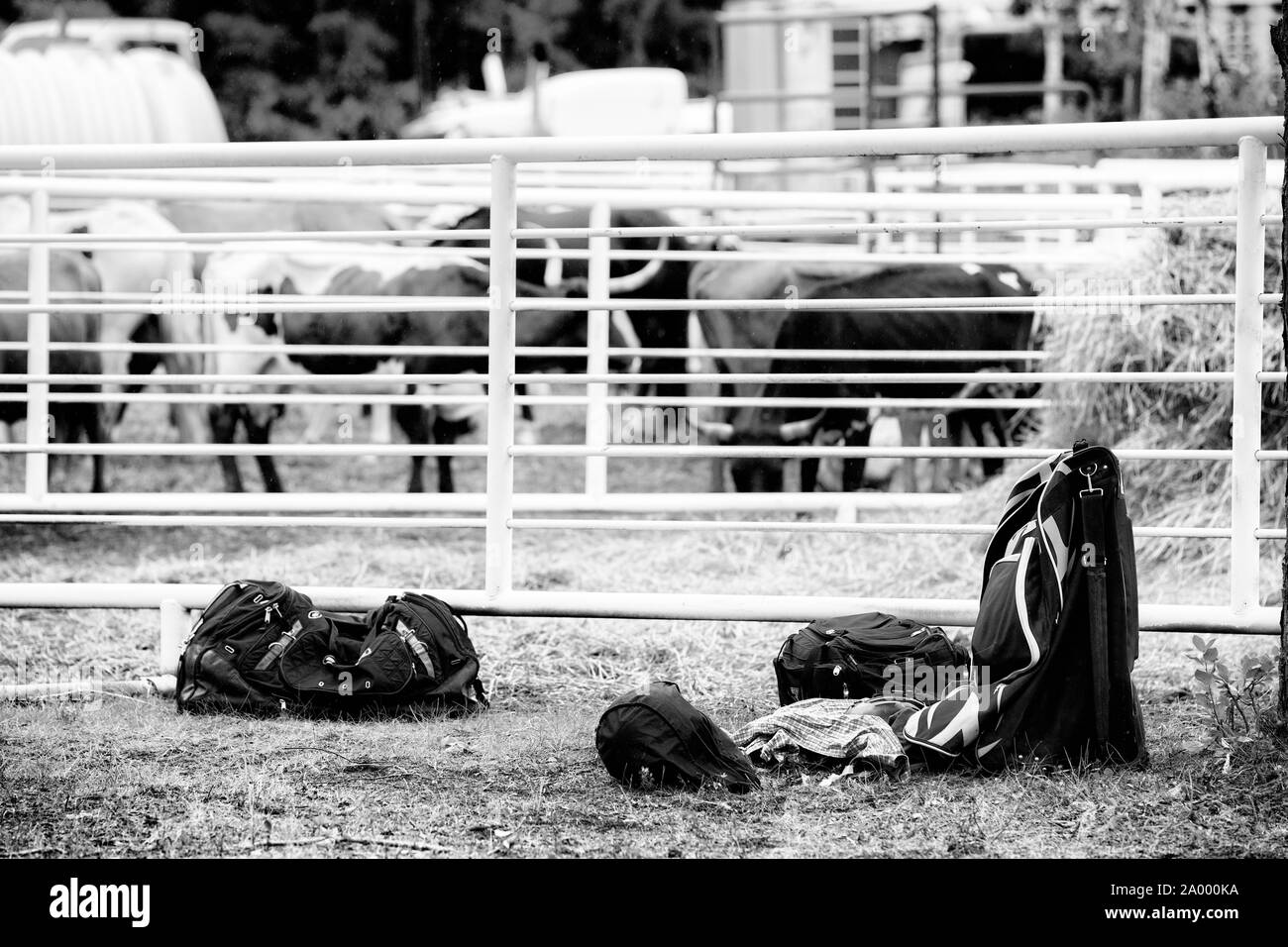 Top more than 69 bull riding bags super hot in.duhocakina