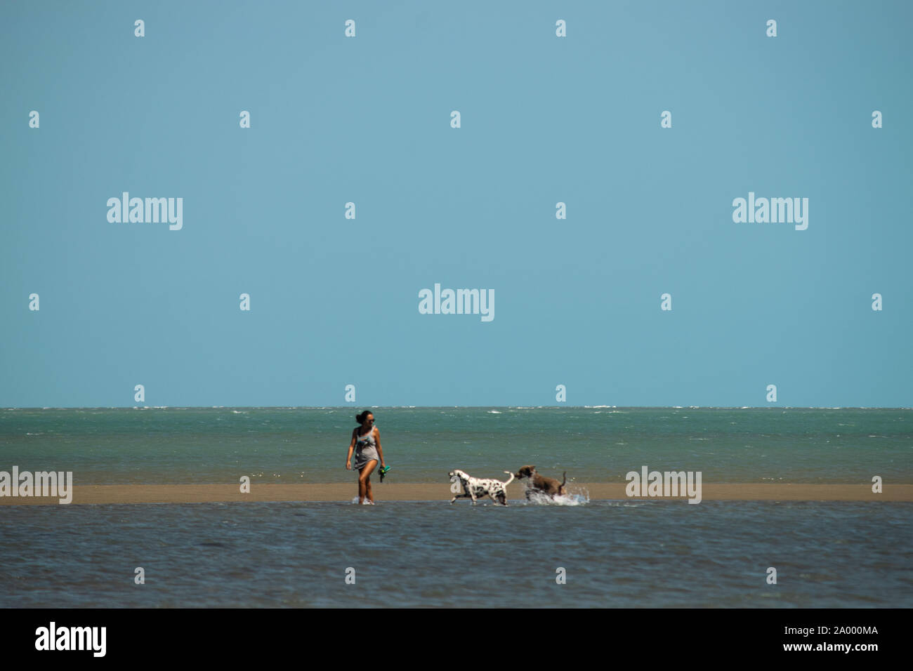 Trekking with dogs hi-res stock photography and images - Alamy