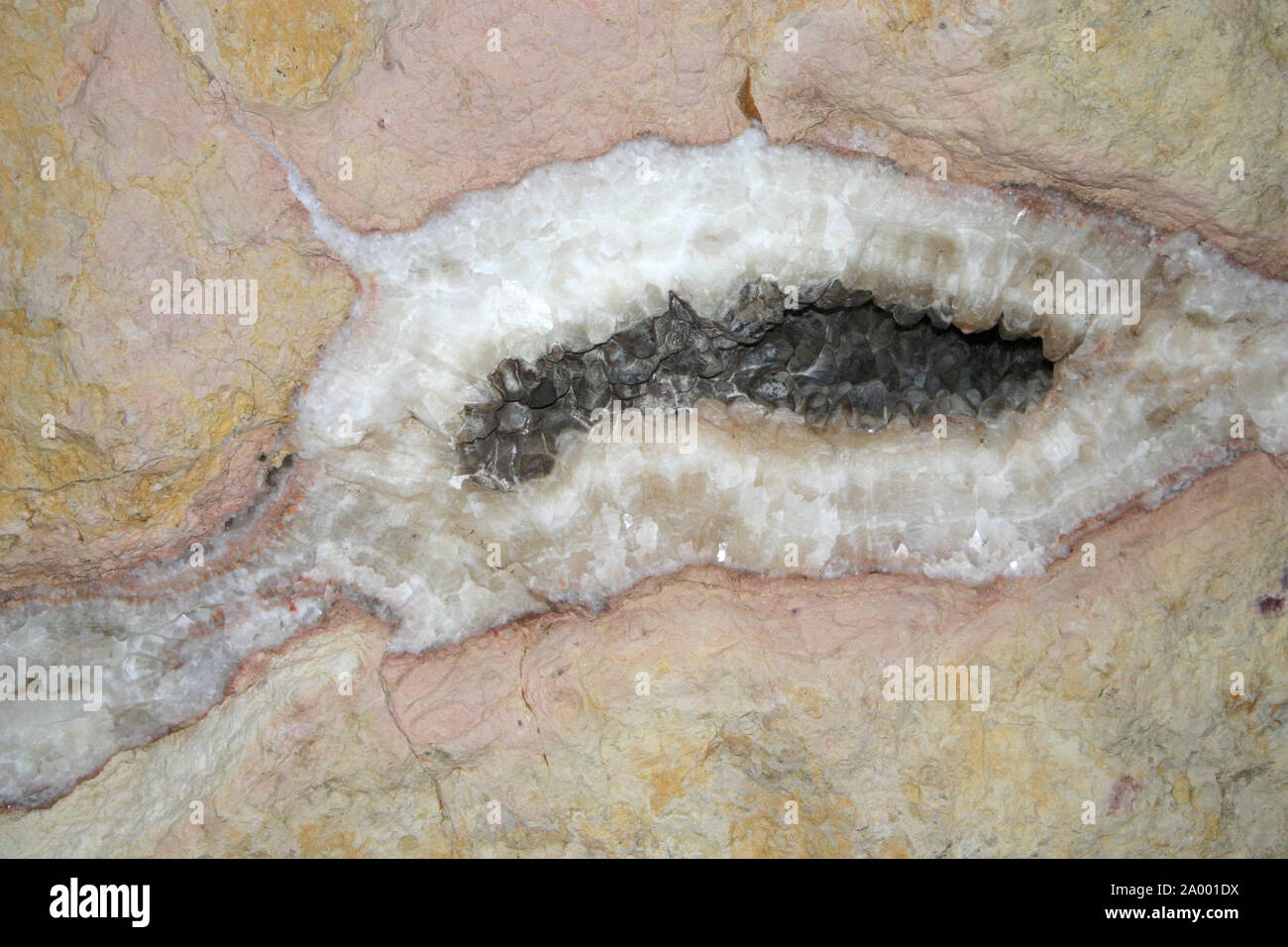 A cluster of beautiful black crystals embedded in a rocky cave wall. Stock Photo