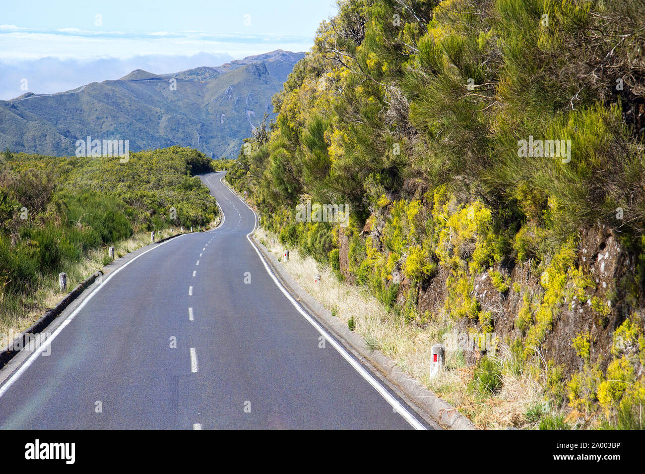 Paul da Serra mountainous landscape and empty curvy road on the island of Madeira, Portugal. Stock Photo