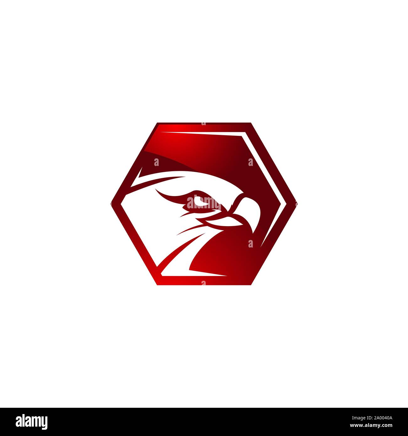 creative and modern head of hawk bird logo design vector illustrations Stock Vector