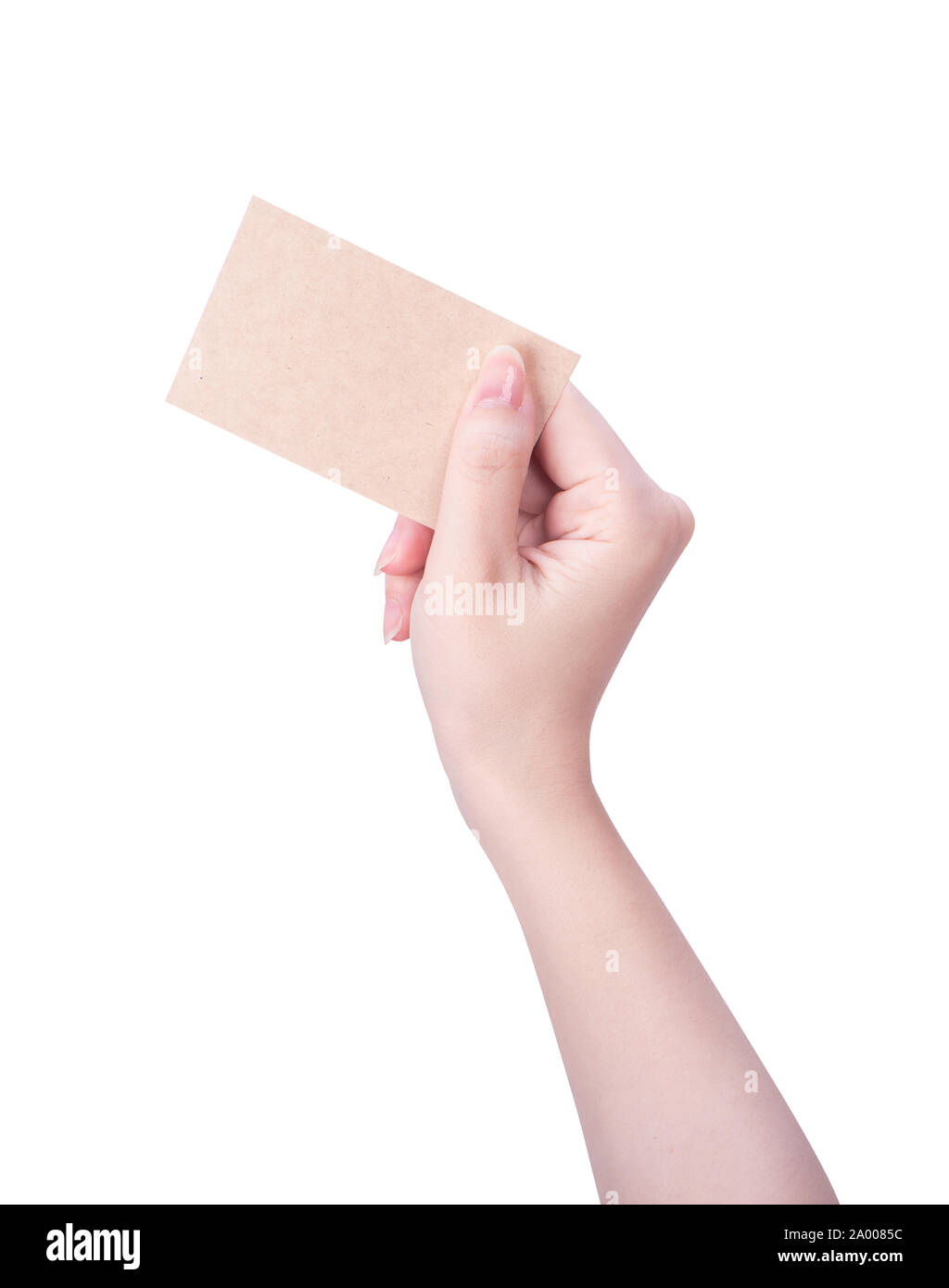 Young asia clean girl hand holding a blank kraft brown paper card template  isolated on white background, clipping path, close up, mock up, cut out  Stock Photo - Alamy