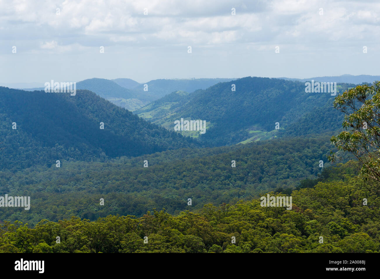 Beautiful wet tropical rainforest aerial view. Hiking in rainforest ...