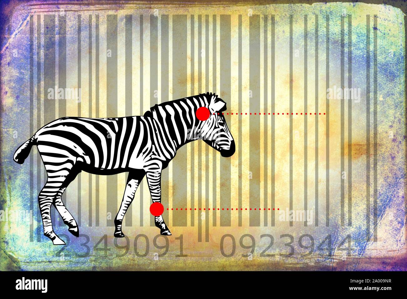 barcode design art idea Stock Photo