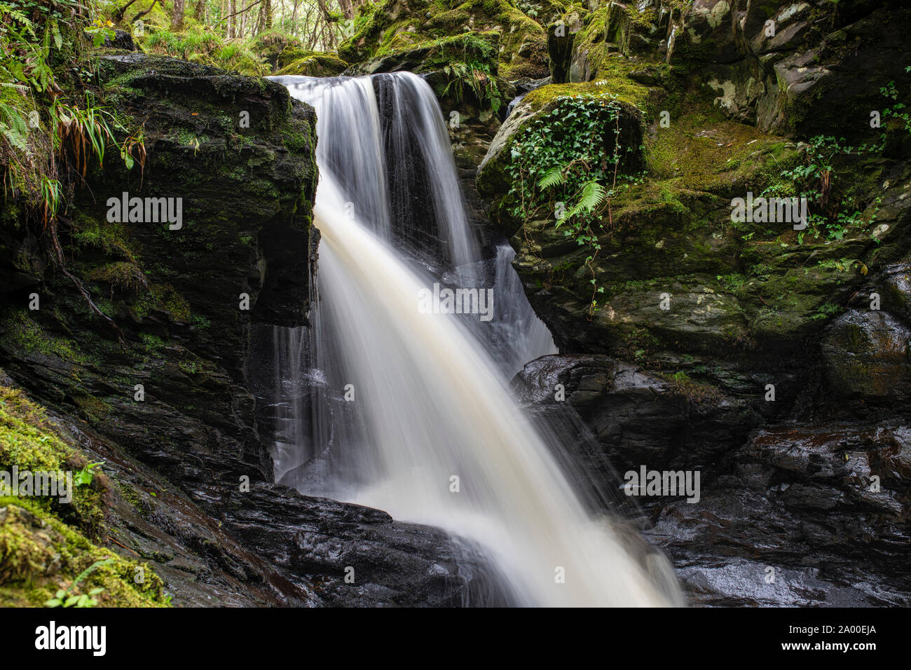 Cordorcan burn waterfalls in the Wood Of Cree Nature Reserve, Newton Stewart, Dumfries and Galloway, Scotland Stock Photo