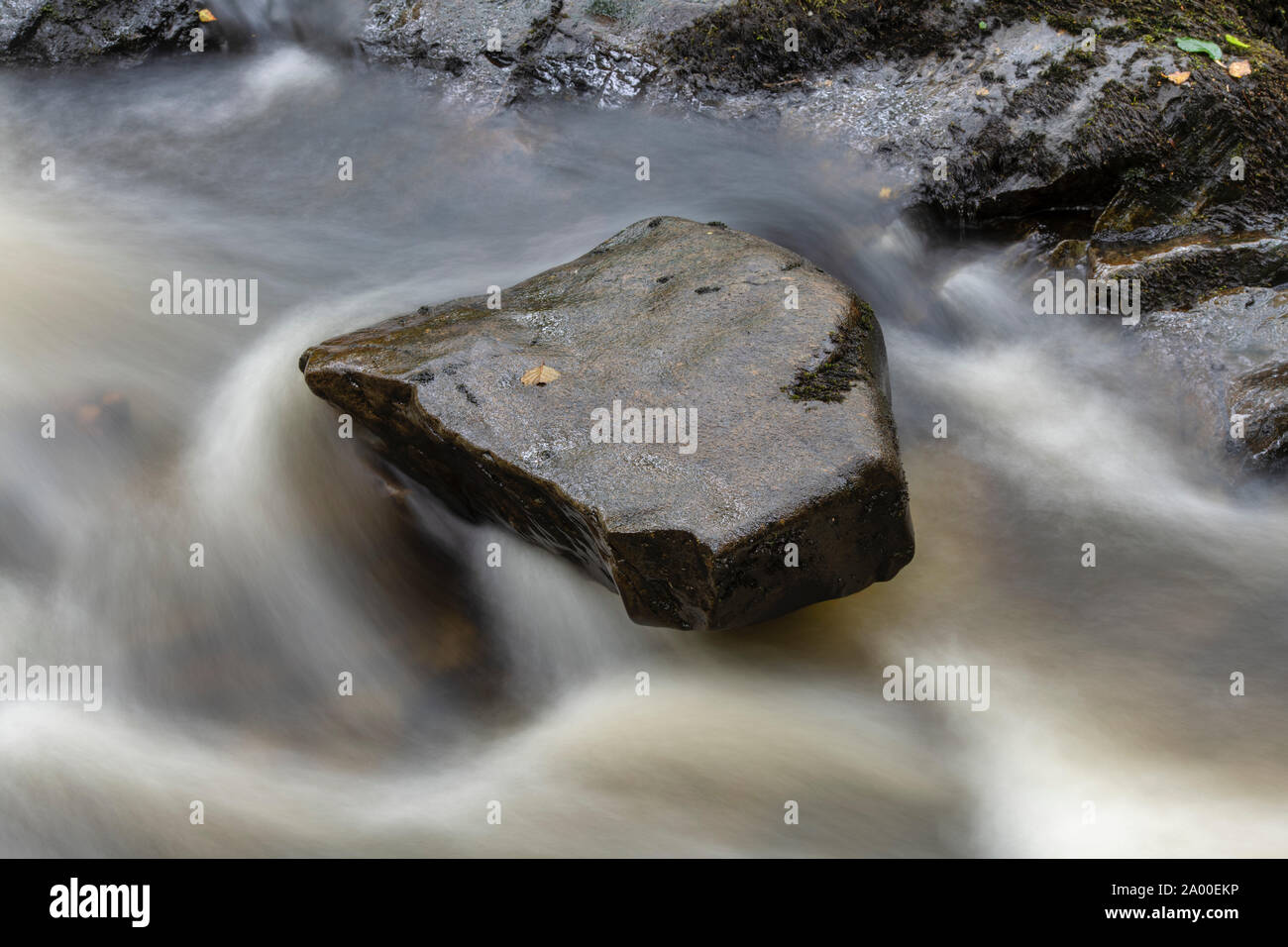 Rock on the Cordorcan burn surrounded by fast flowing water in the Wood Of Cree Nature Reserve, Newton Stewart, Dumfries and Galloway, Scotland Stock Photo