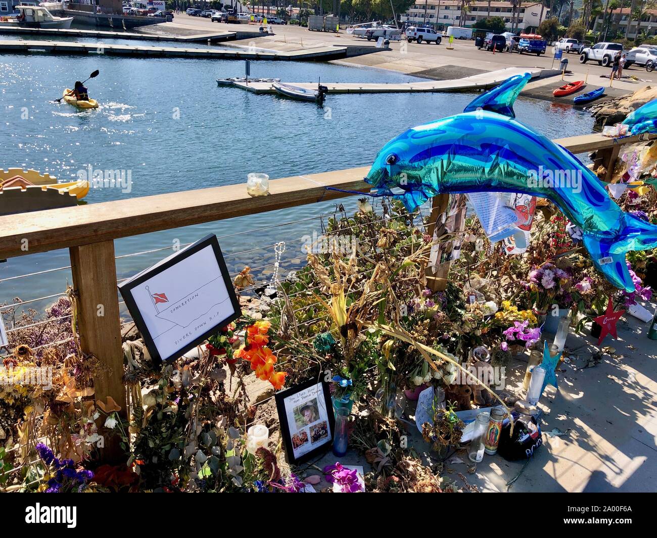 Santa Barbara, California, USA. 18th Sep, 2019. September 18: Memorial for dive boat victims lost at sea continues to go strong at Sea Landing boat dock, in the Santa Barbara Harbor, where the Conception was harbored prior to the Labor Day accident that killed 34 people on a three day vacation to the Channel Islands. Santa Barbara community members and visitors stop by to pay their respects. Photos of those who lost their lives are surrounded by flowers, many now dried, but with fresh oneÃs still being brought daily. Every night candles are being lit by volunteers who tend the memorial an Stock Photo