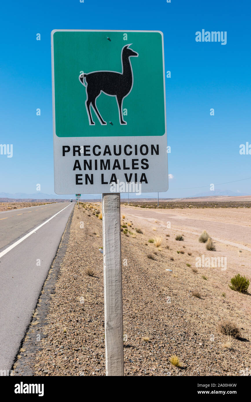 Road sign, animals on the road, Altiplano, 3000m and more above sea level, north of Uyuni, district Potosi, Bolivia, Latin America Stock Photo