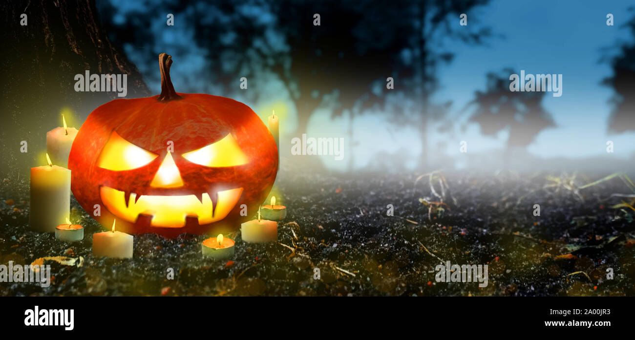 Jack O Lanterns pumpkin Glowing with candles In The Spooky Night forest ...