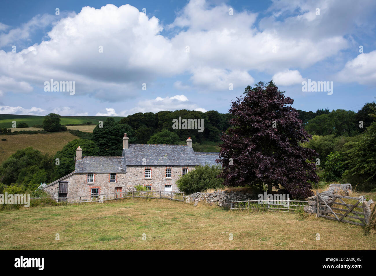 Farmhouse and farm on Dartmoor in Devon in Southern England, UK Stock Photo