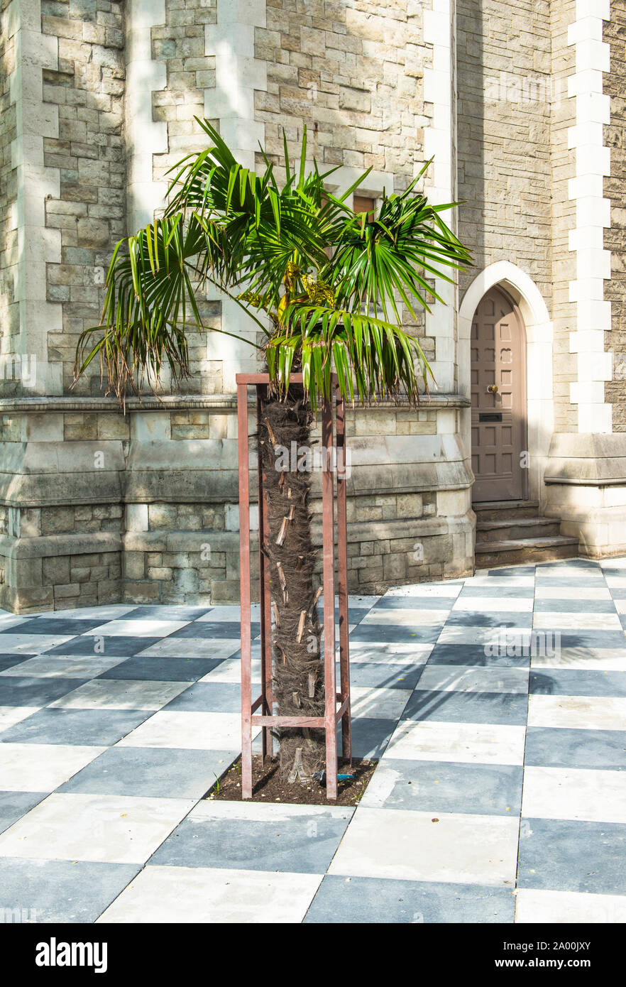 The palm tree london hires stock photography and images Alamy