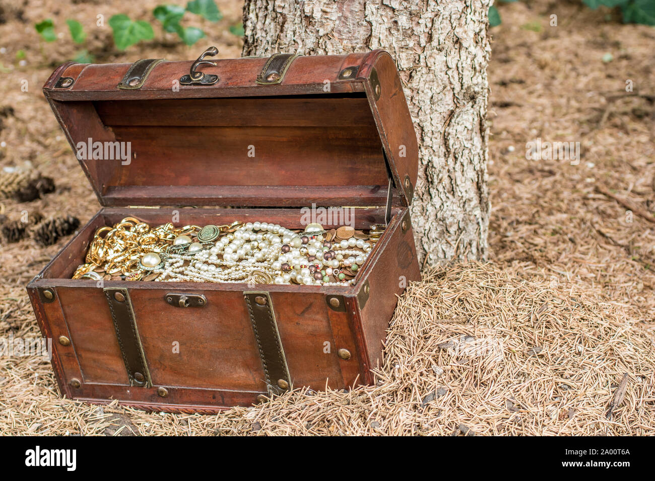 Treasure chest in the woods on the ground next to a tree Stock Photo