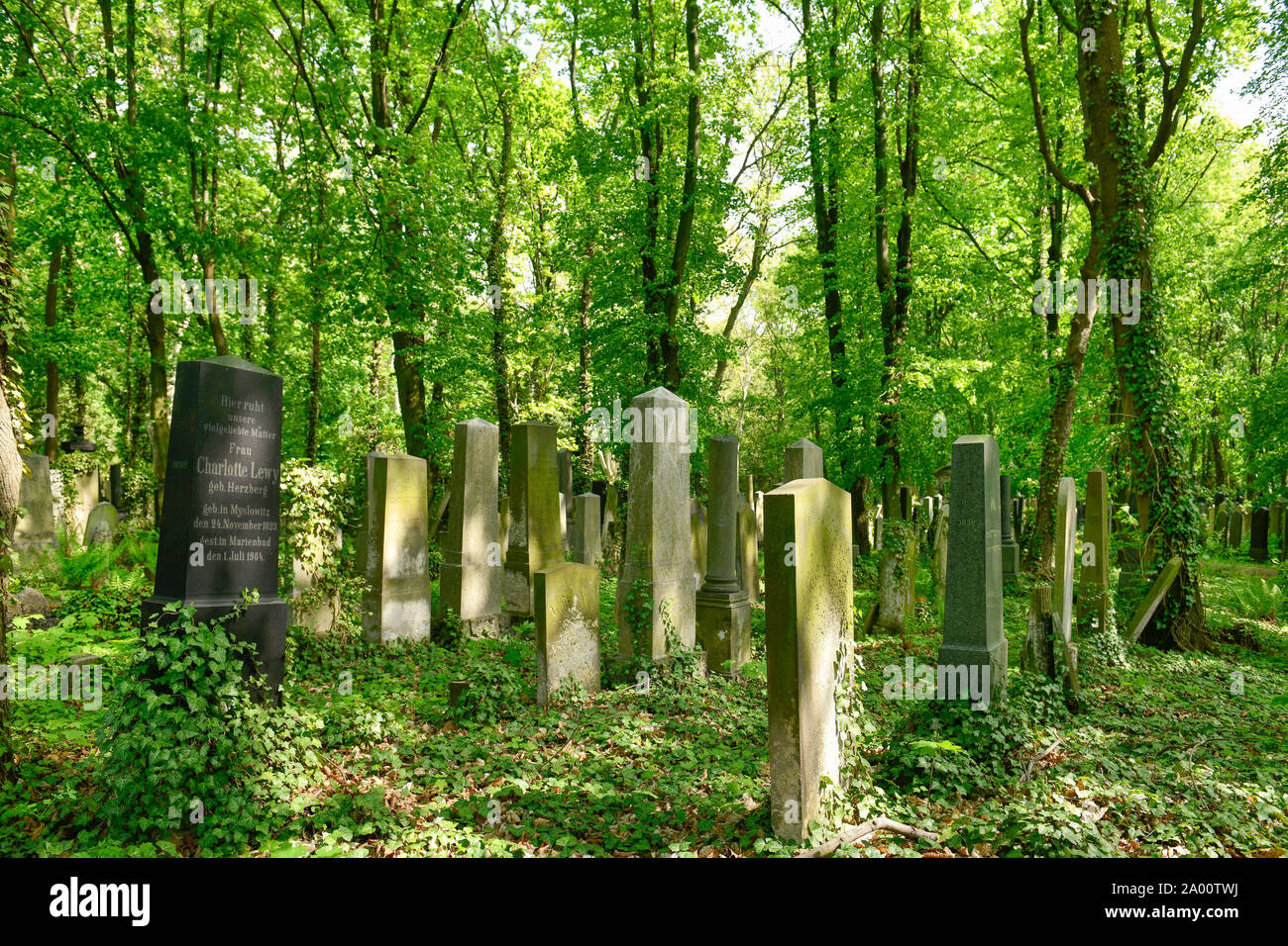 Juedischer Friedhof, Herbert-Baum-Strasse, Weissensee, Pankow, Berlin, Deutschland Stock Photo